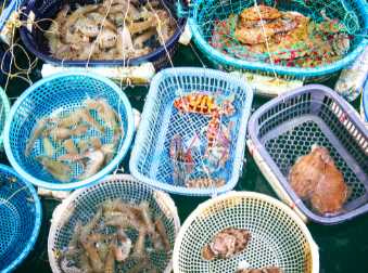 Mariscos, moluscos y crustáceos - Comercial Zona Sur